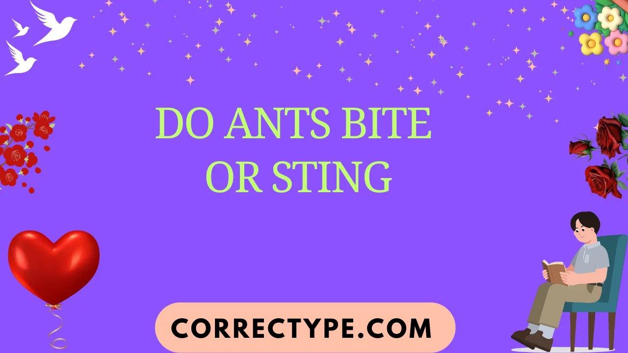 do ants bite or sting