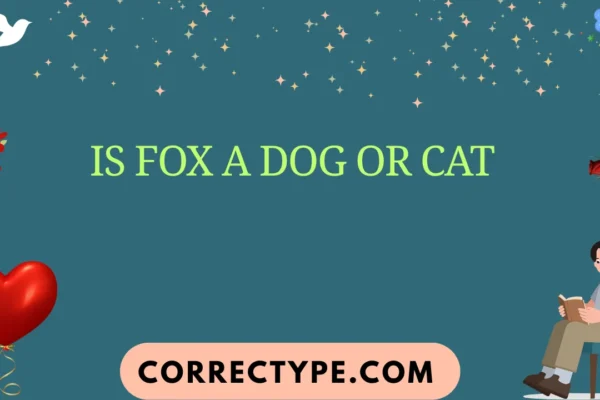 is fox a dog or cat