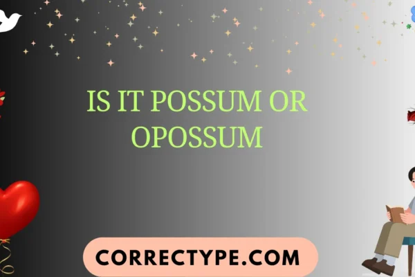 is it possum or opossum