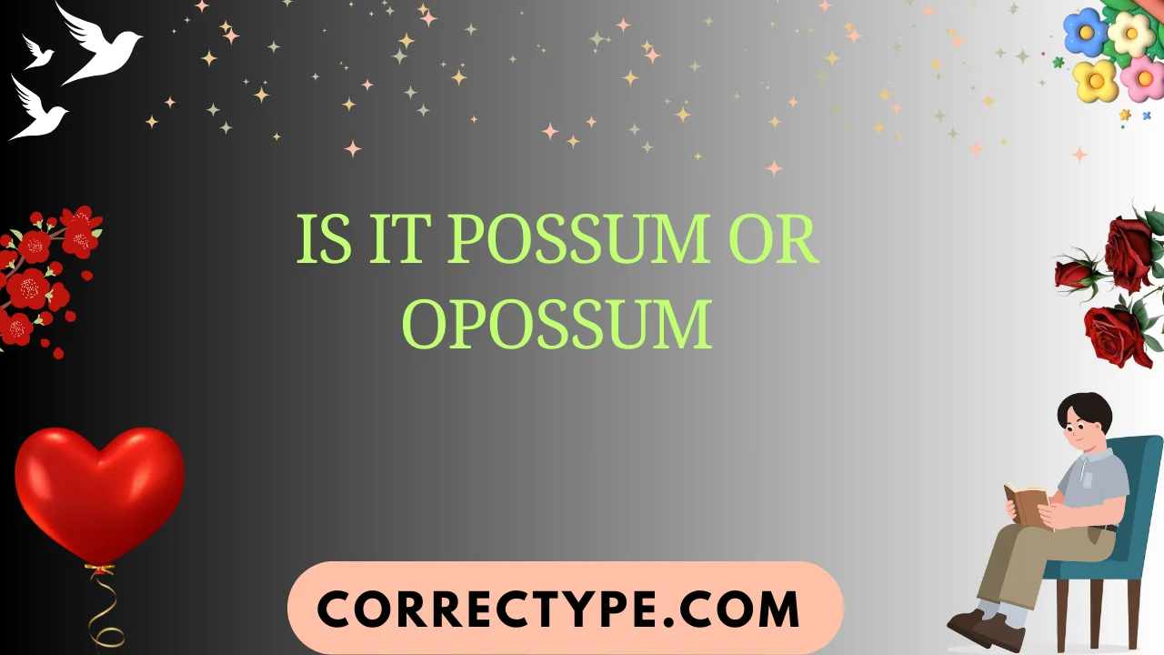 is it possum or opossum