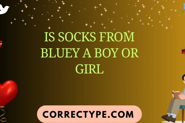 is socks from bluey a boy or girl