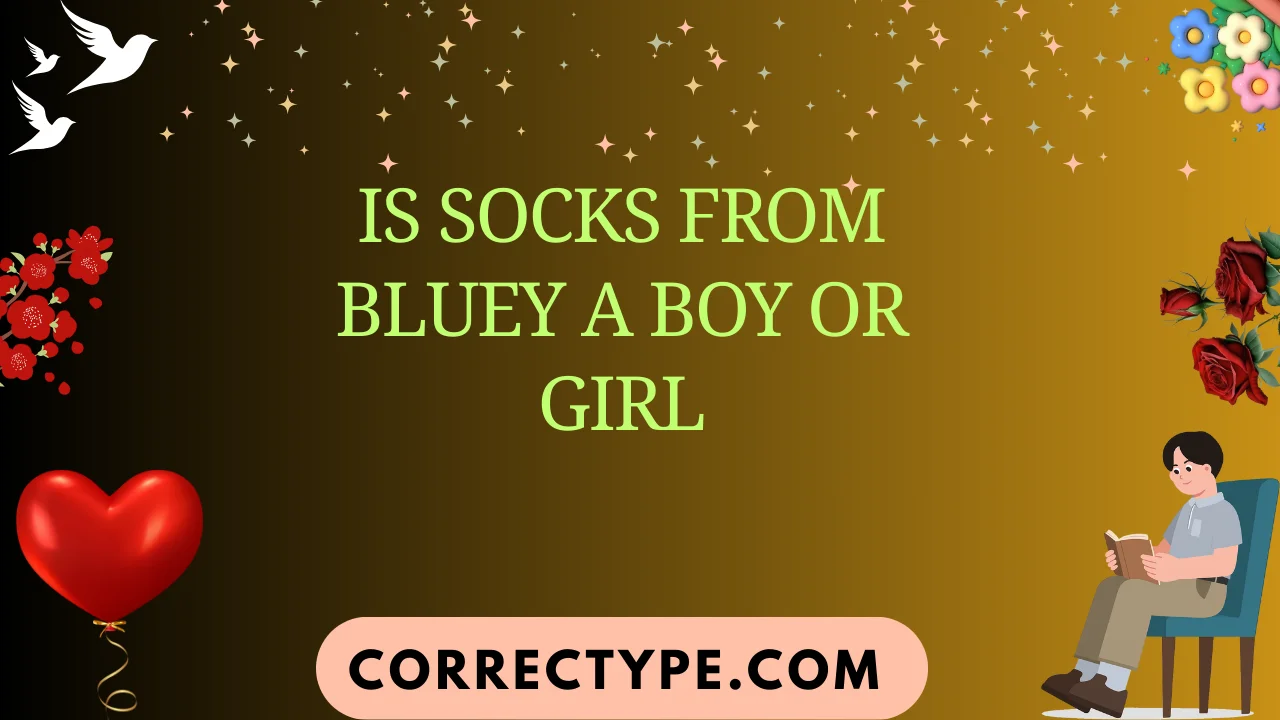 is socks from bluey a boy or girl