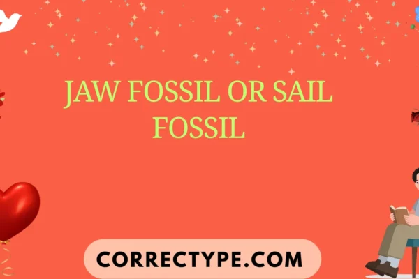 jaw fossil or sail fossil