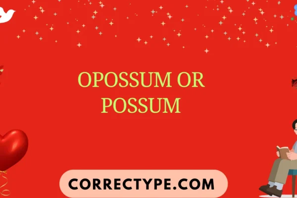 opossum or possum
