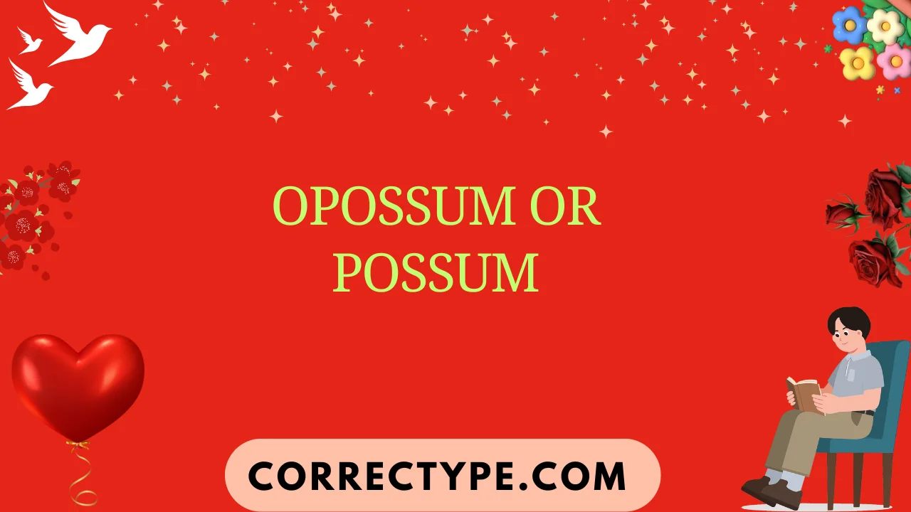 opossum or possum