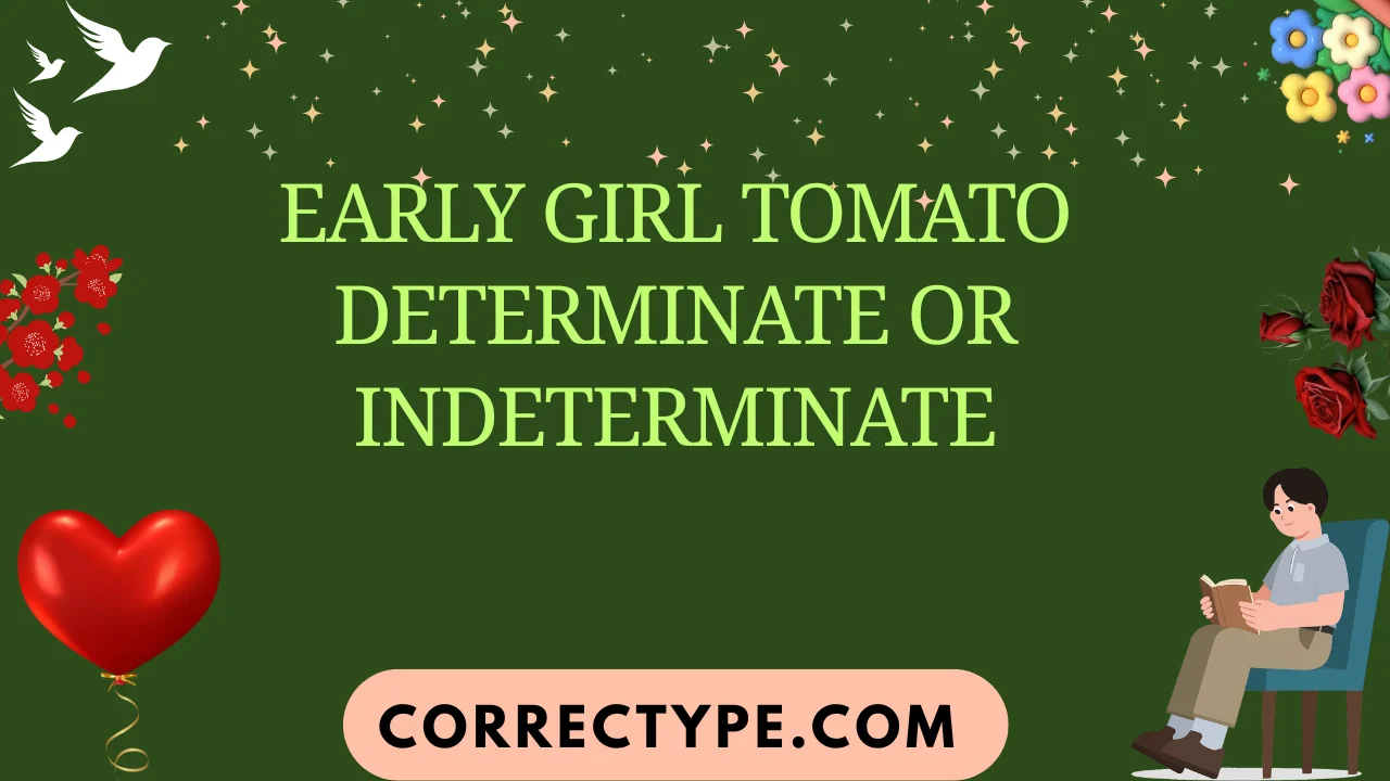 early girl tomato determinate or indeterminate